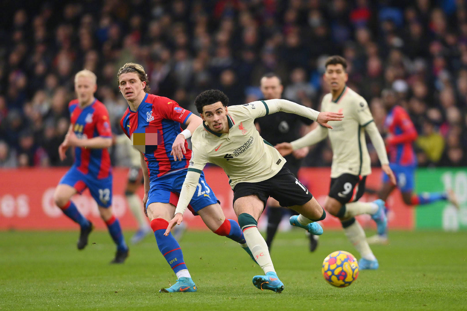 了优异成绩 了优异成绩