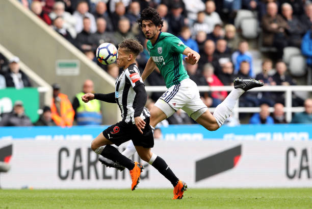 的球技和非 的球技和非