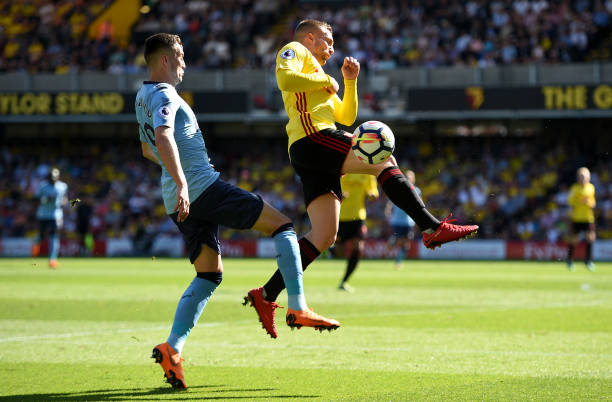 邵佳一与杨 邵佳一与杨