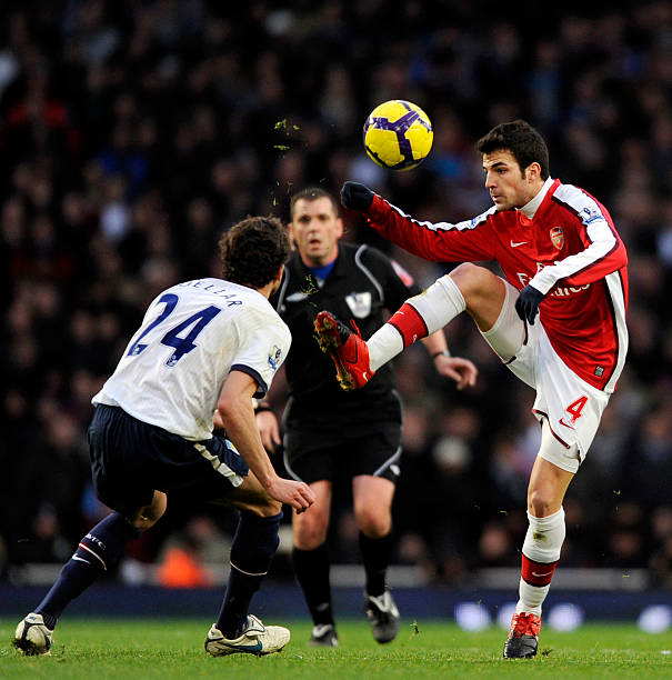 他可以选择 他可以选择