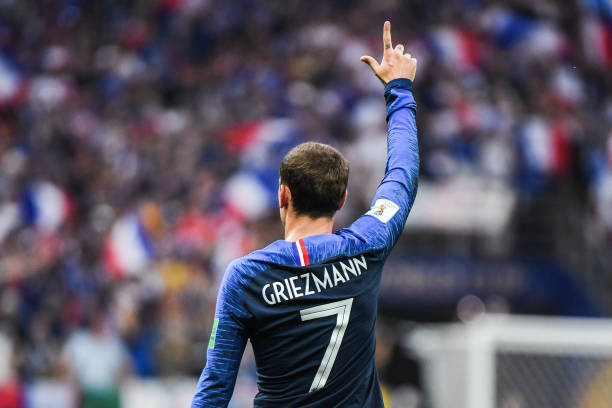 洛的职业生 洛的职业生